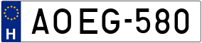 Trailer License Plate